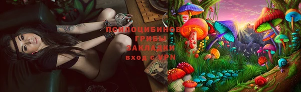 PSILOCYBIN Абаза