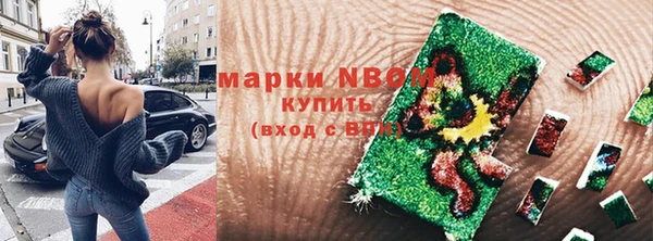 мет Алексин