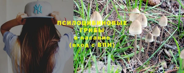 шишки Алексеевка