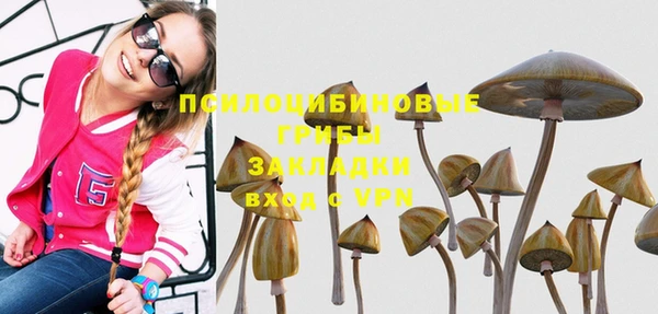 шишки Алексеевка